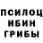 Псилоцибиновые грибы мухоморы SPORTSMAN001