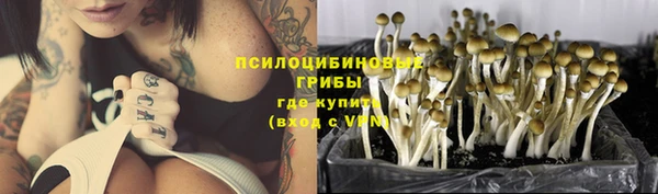 дживик Алзамай