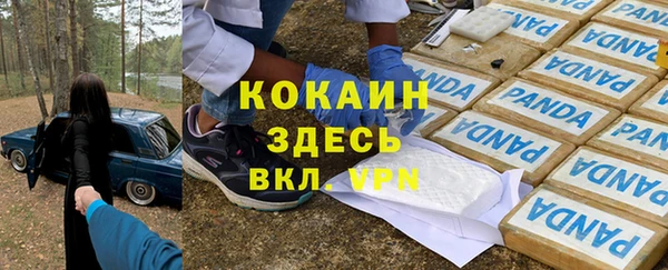 не бодяженный Алексин