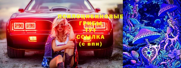 дживик Алзамай