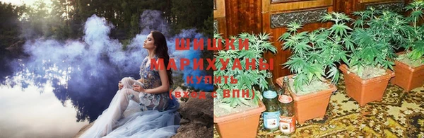 PSILOCYBIN Алексеевка